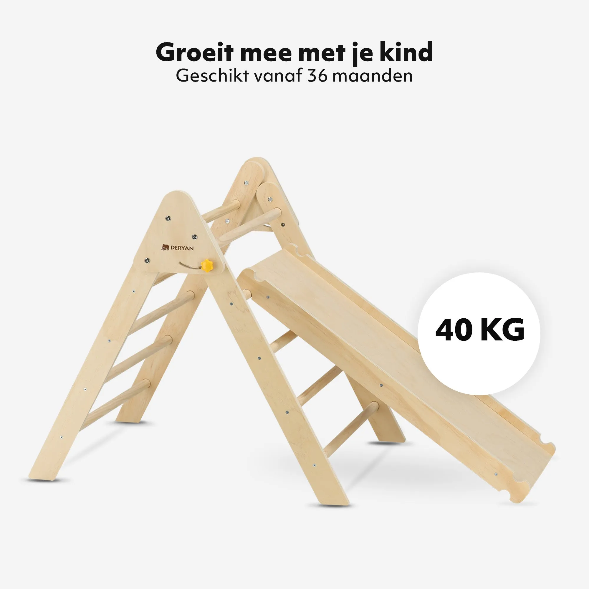 Miniatuur 3